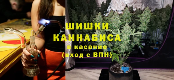прущая мука Арсеньев