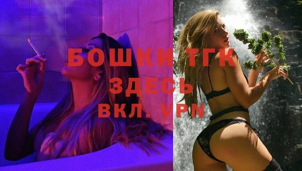 гидра Слюдянка
